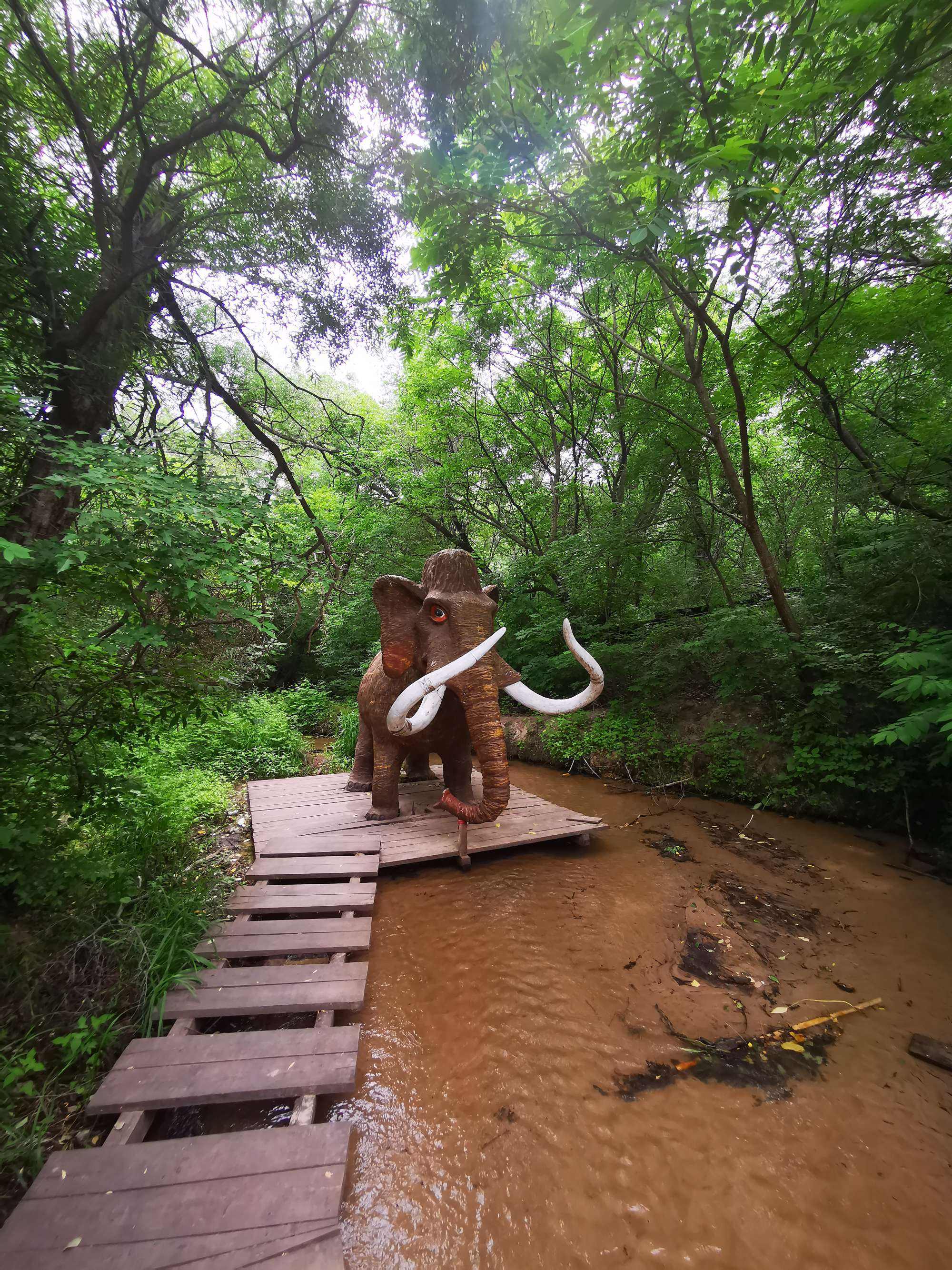 大青沟旅游攻略_大青沟旅游区攻略