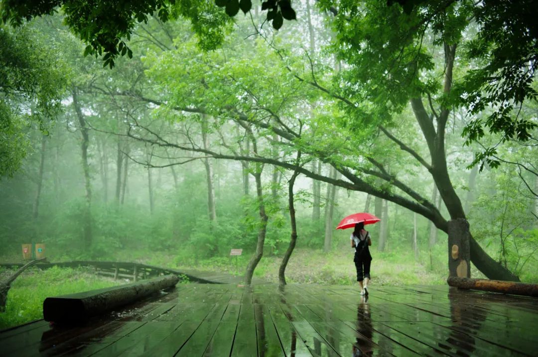 大青沟旅游攻略_大青沟旅游区攻略