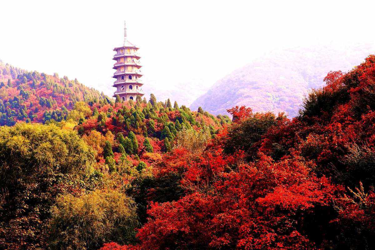 济南红叶谷旅游攻略_济南红叶谷景区门票是多少