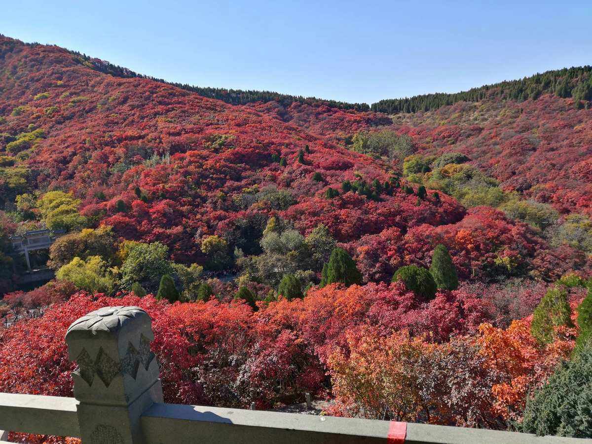 济南红叶谷旅游攻略_济南红叶谷景区门票是多少