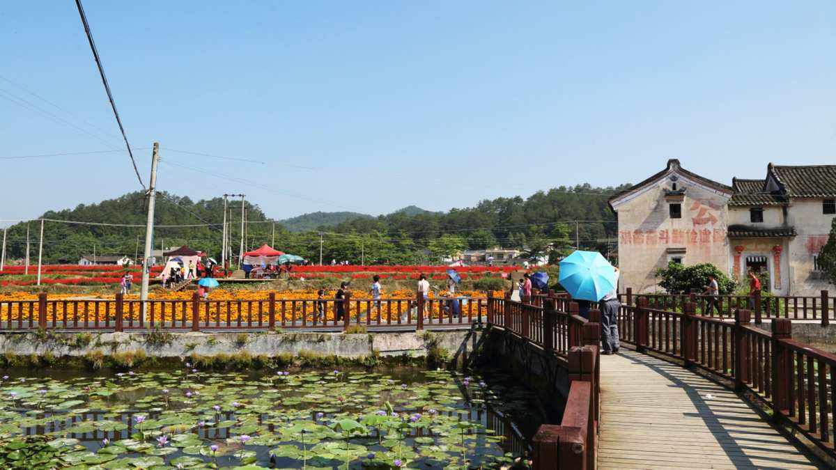 北塘旅游_北塘旅游景点有哪些