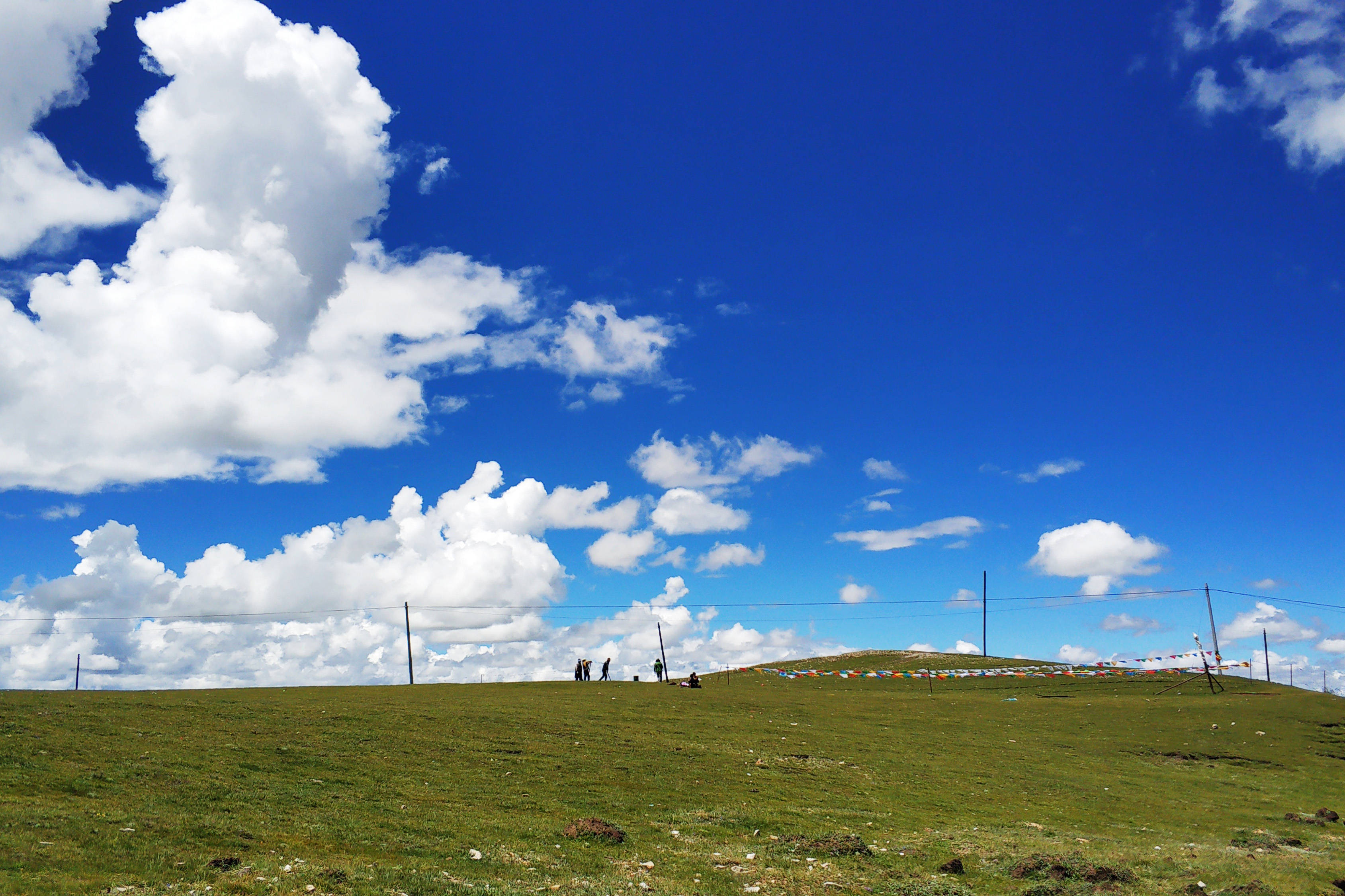 西藏拉萨旅游_西藏拉萨旅游投诉电话