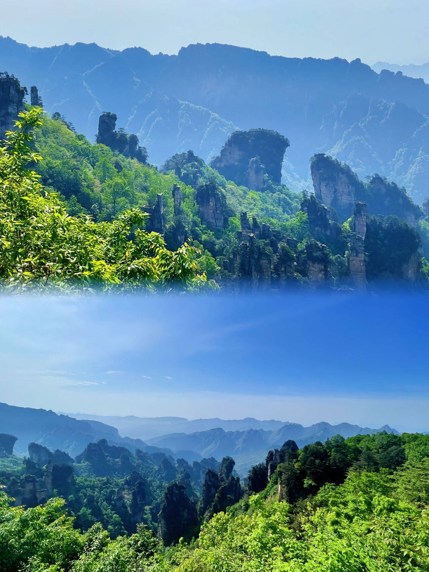 张家界旅游旅游攻略_张家界旅游攻略必玩的景点