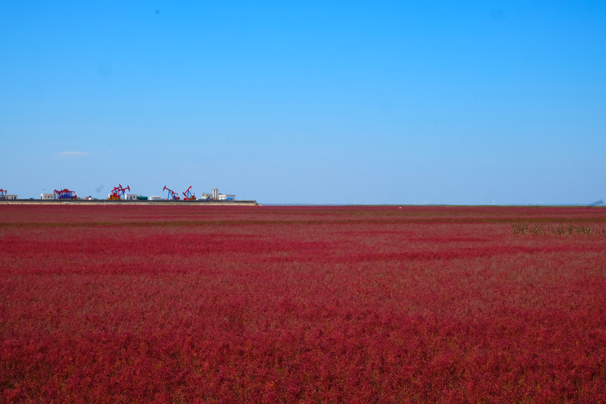 盘锦旅游攻略_盘锦旅游攻略必玩的景点锦州