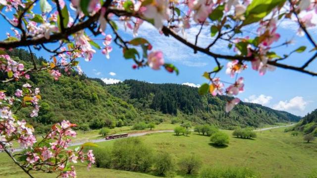 清明旅游_清明旅游热度