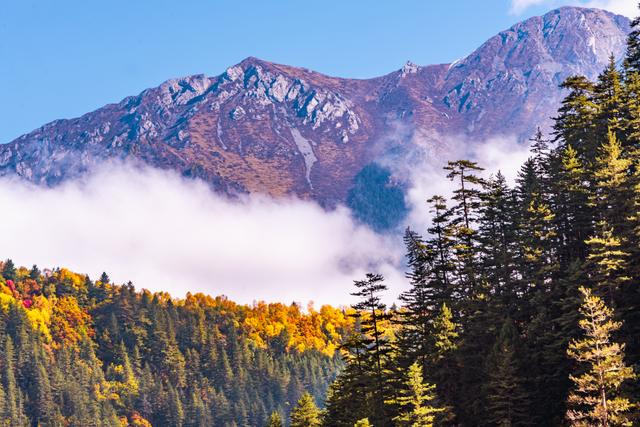 11月份适合去哪里旅游_11月份适合去哪里旅游国内5000元预算