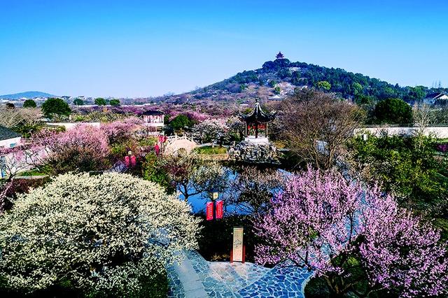 上海周边旅游景点推荐_上海周边旅游景点推荐自驾游2天