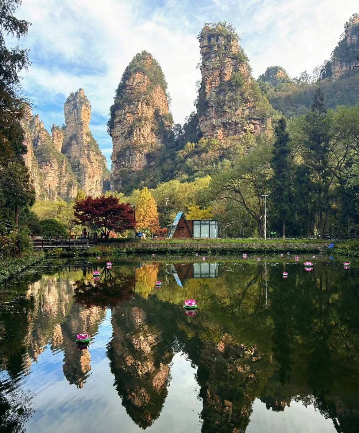 张家界旅游攻略_张家界旅游攻略及费用