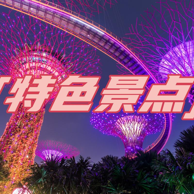 上海到新加坡旅游_上海到新加坡旅游签证要求