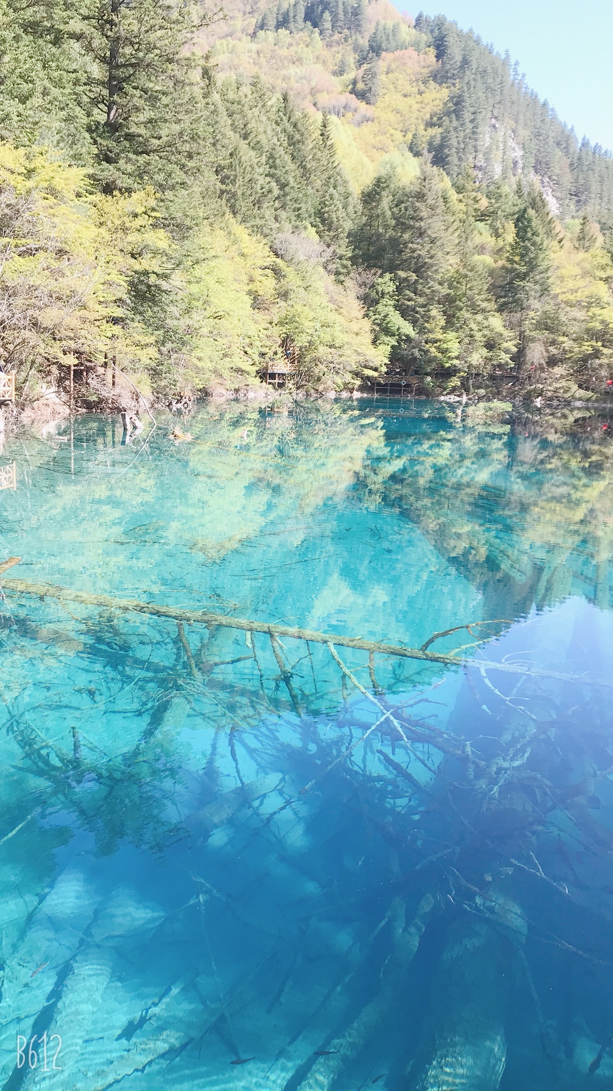 九寨沟旅游_九寨沟旅游攻略