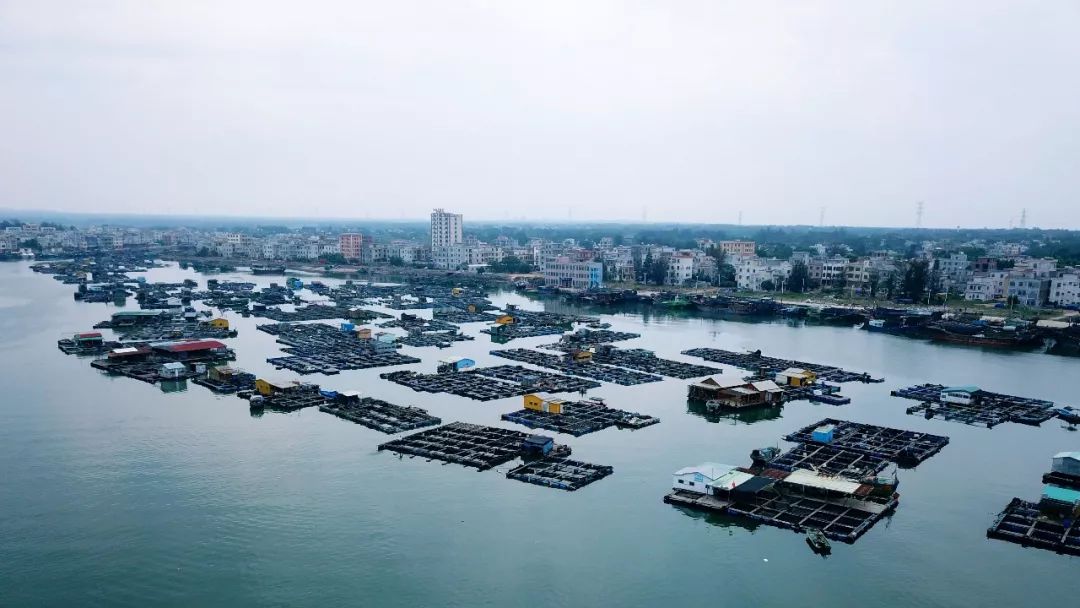 雷州半岛旅游_雷州半岛旅游攻略自由行
