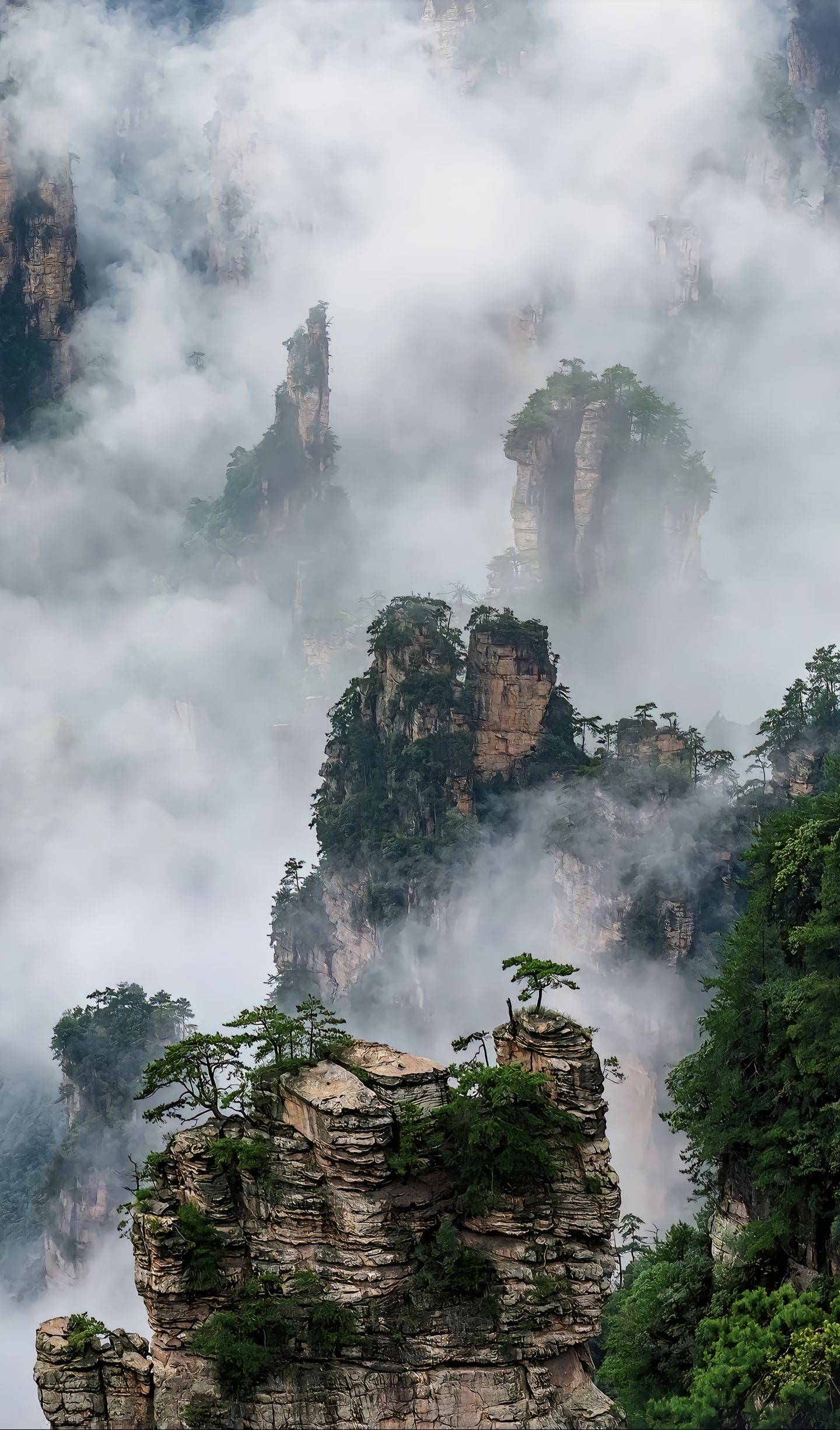 张家界旅游费用多少_张家界旅游费用多少钱两天000点了