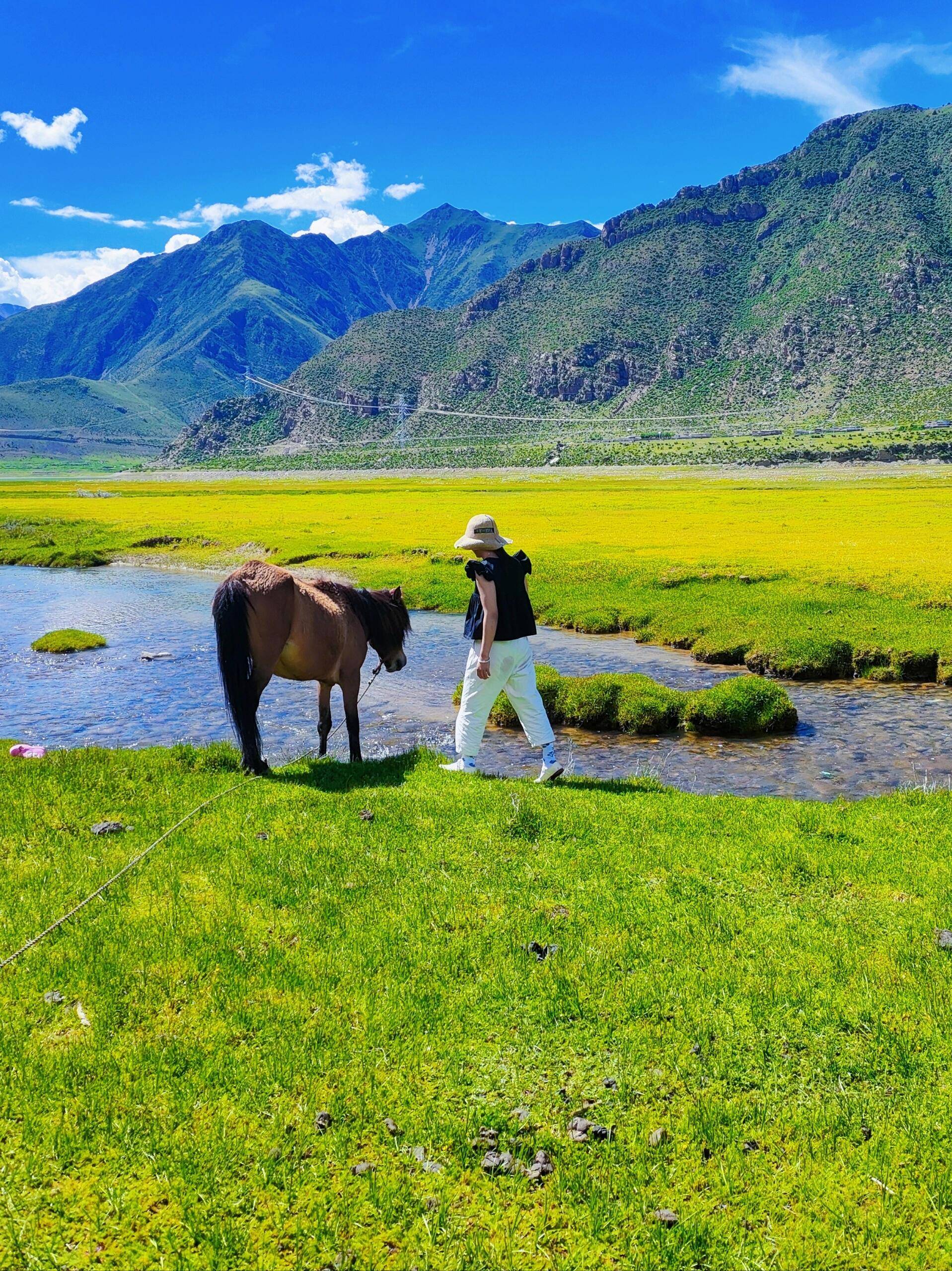 西藏拉萨旅游_西藏拉萨旅游文案