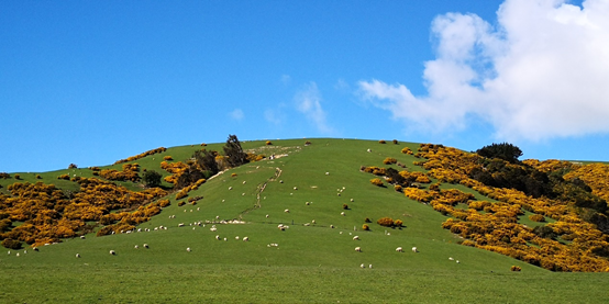 新西兰最佳旅游时间_新西兰最佳旅游时间表