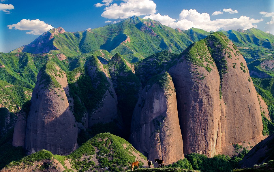 省内旅游_河南省内旅游 省内旅游_河南省内旅游