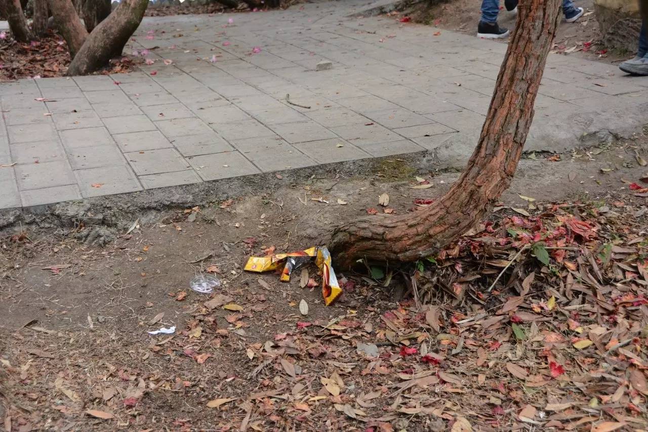 香格里拉旅游乱象_香格里拉旅游乱象分析