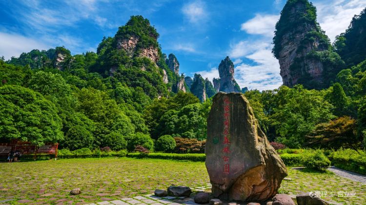 张家界旅游团购_张家界旅游团购物骗局