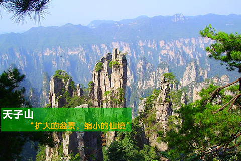 张家界旅游团购_张家界旅游团购物骗局