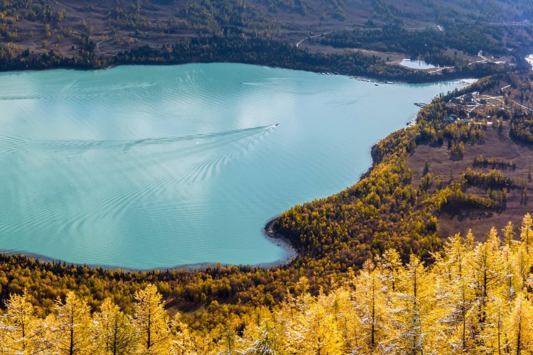 阿拉尔旅游_阿拉尔旅游团