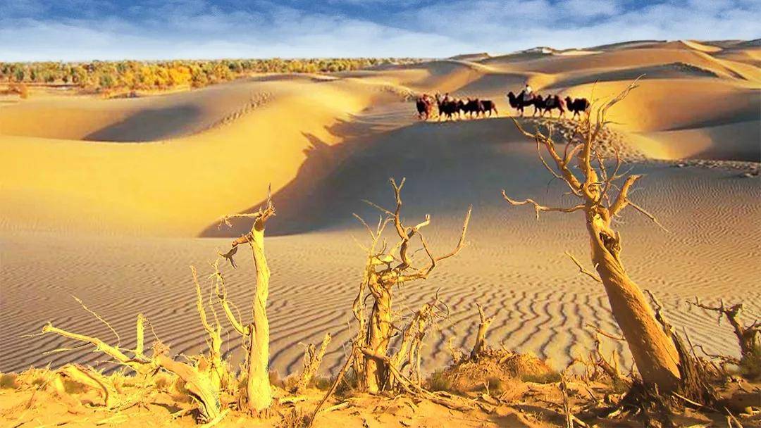 阿拉尔旅游_阿拉尔旅游团