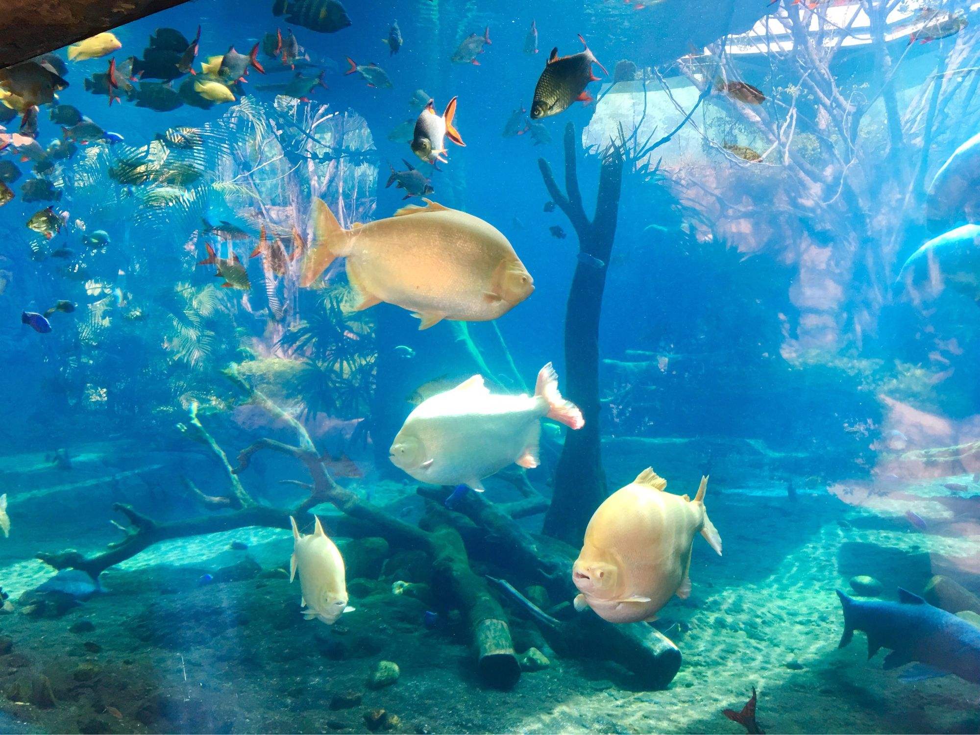 海洋旅游_海洋旅游论文 海洋旅游_海洋旅游论文