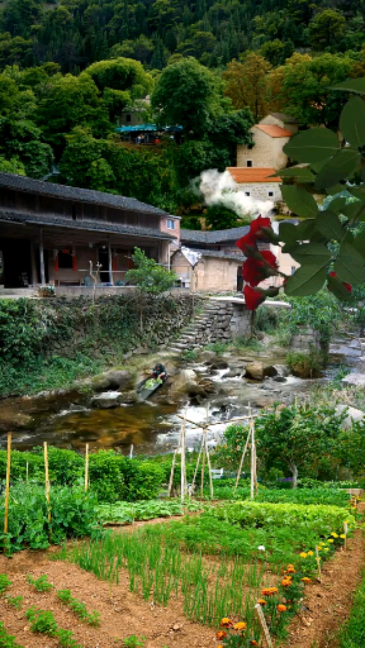 农村旅游_农村旅游电商