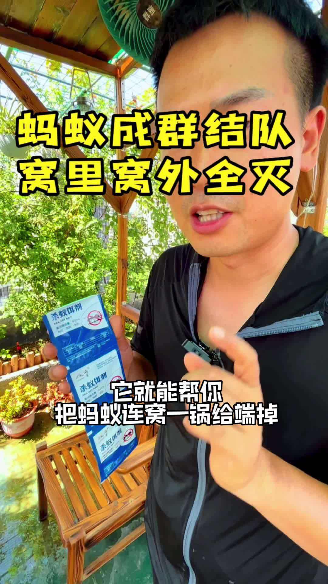 蚂蚁窝旅游网_蚂蚁窝旅游官网