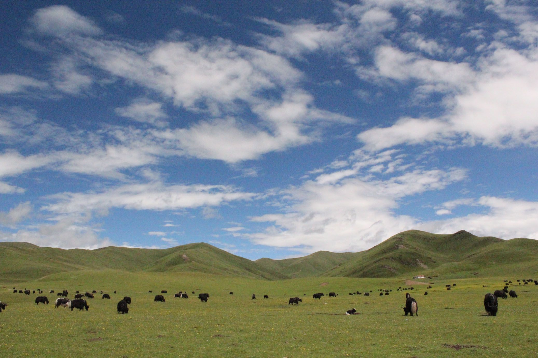 青藏高原旅游_青藏高原旅游区旅游资源特征 青藏高原旅游_青藏高原旅游区旅游资源特征