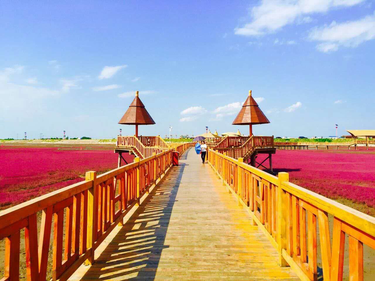 盘锦红海滩旅游攻略_盘锦红海滩旅游攻略图