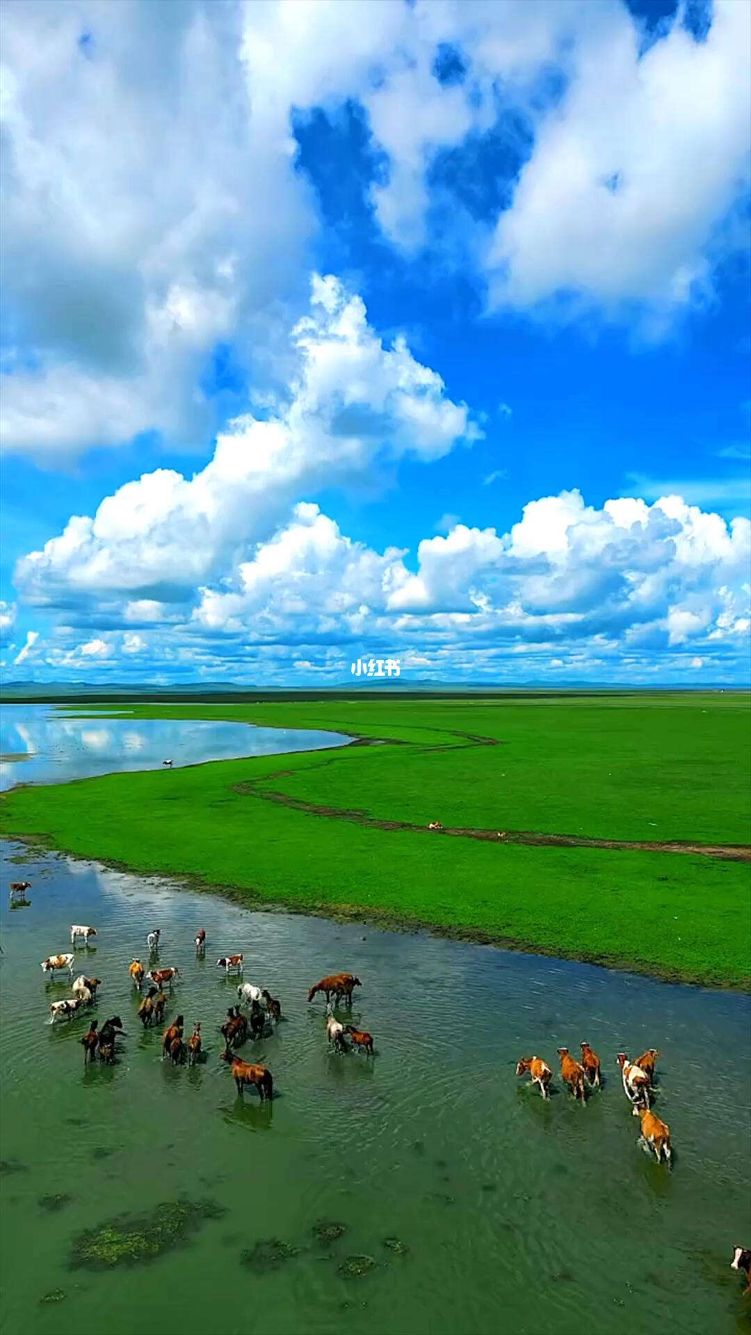 呼伦贝尔大草原旅游_呼伦贝尔大草原旅游团