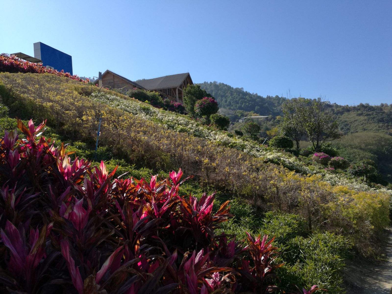 攀枝花旅游_攀枝花旅游攻略必去景点推荐