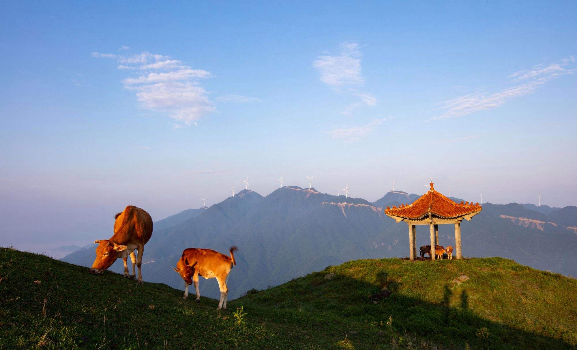益阳旅游_益阳旅游景点推荐