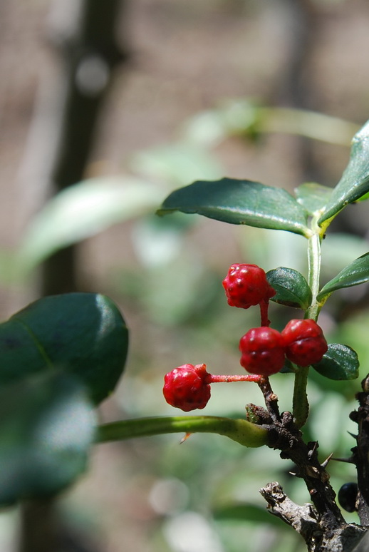客来满旅游网_客来店官网