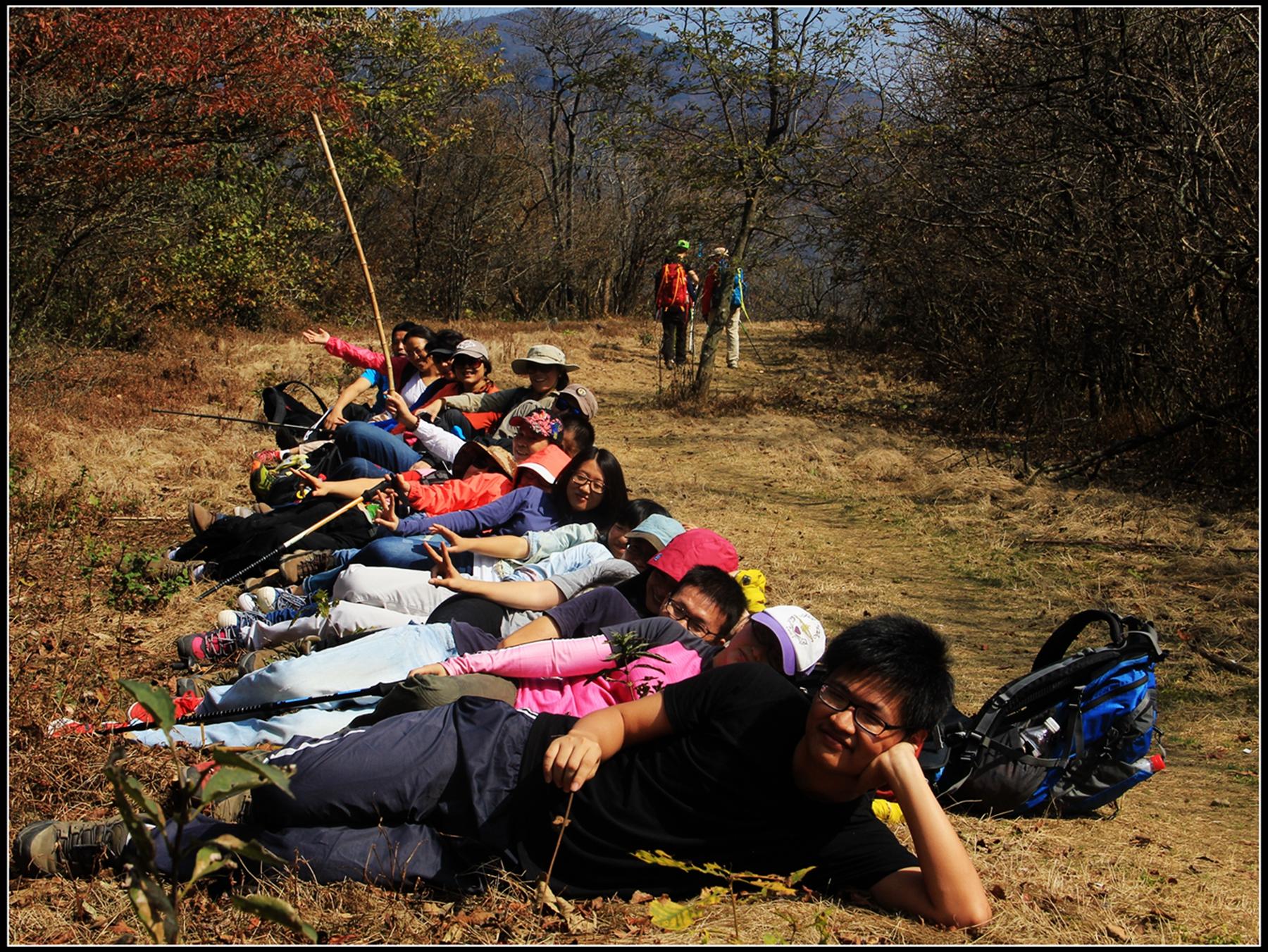 悠哉旅游网怎么样_悠哉网络科技有限公司