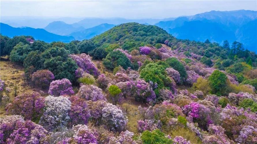 攀枝花旅游景点大全_四川攀枝花旅游必去景点