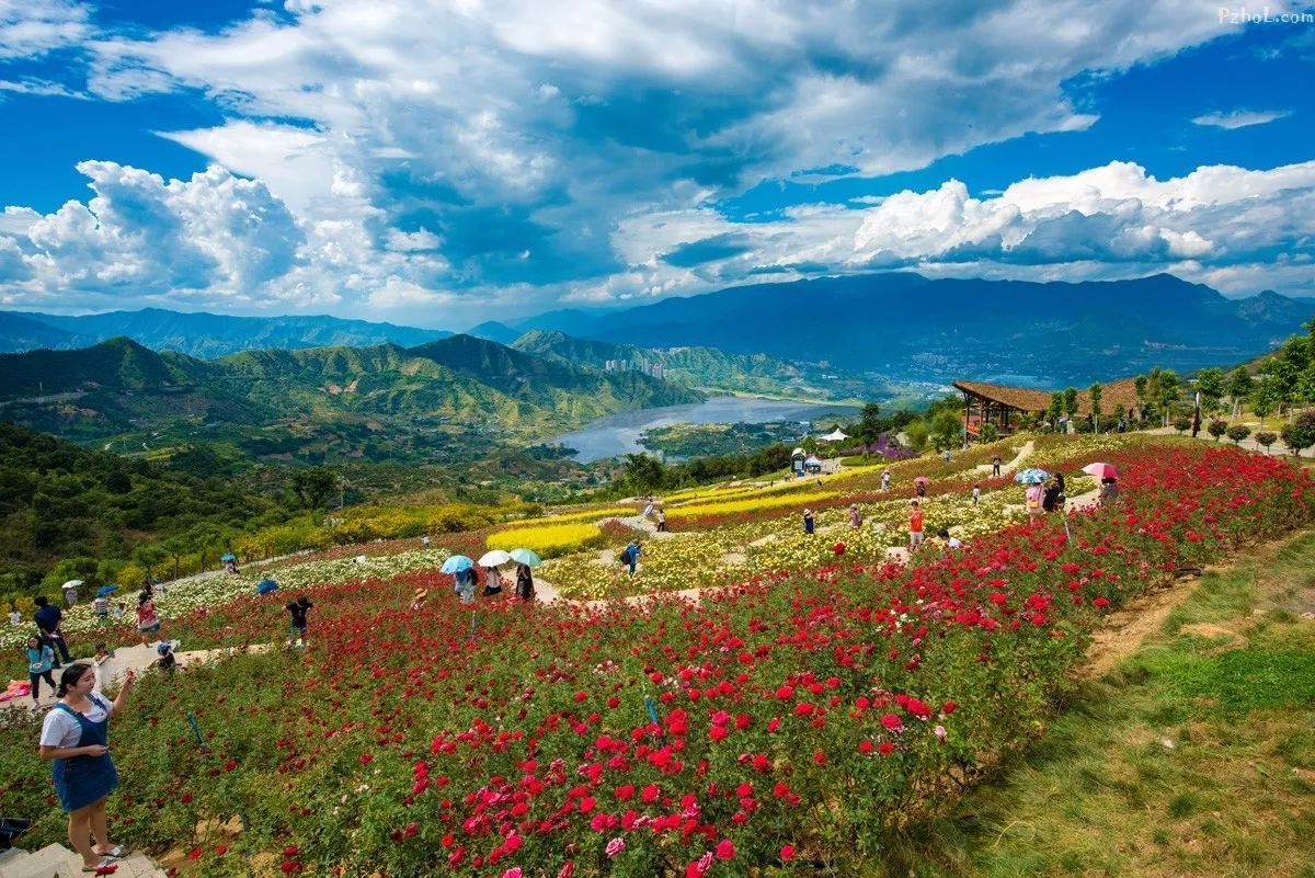 攀枝花旅游景点大全_四川攀枝花旅游必去景点