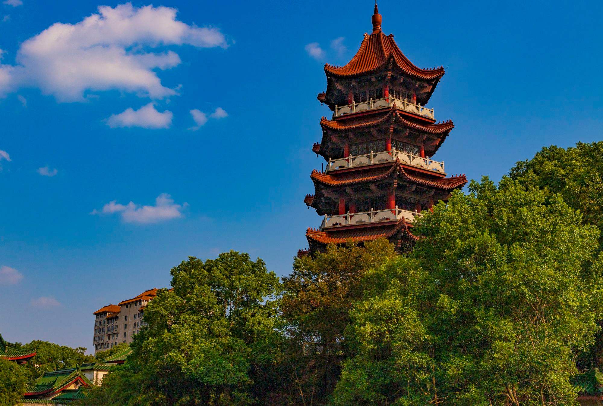 观光旅游_观光旅游车