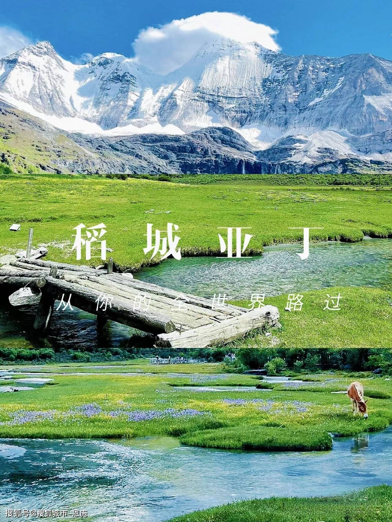四川旅游网_四川旅游网上购票app