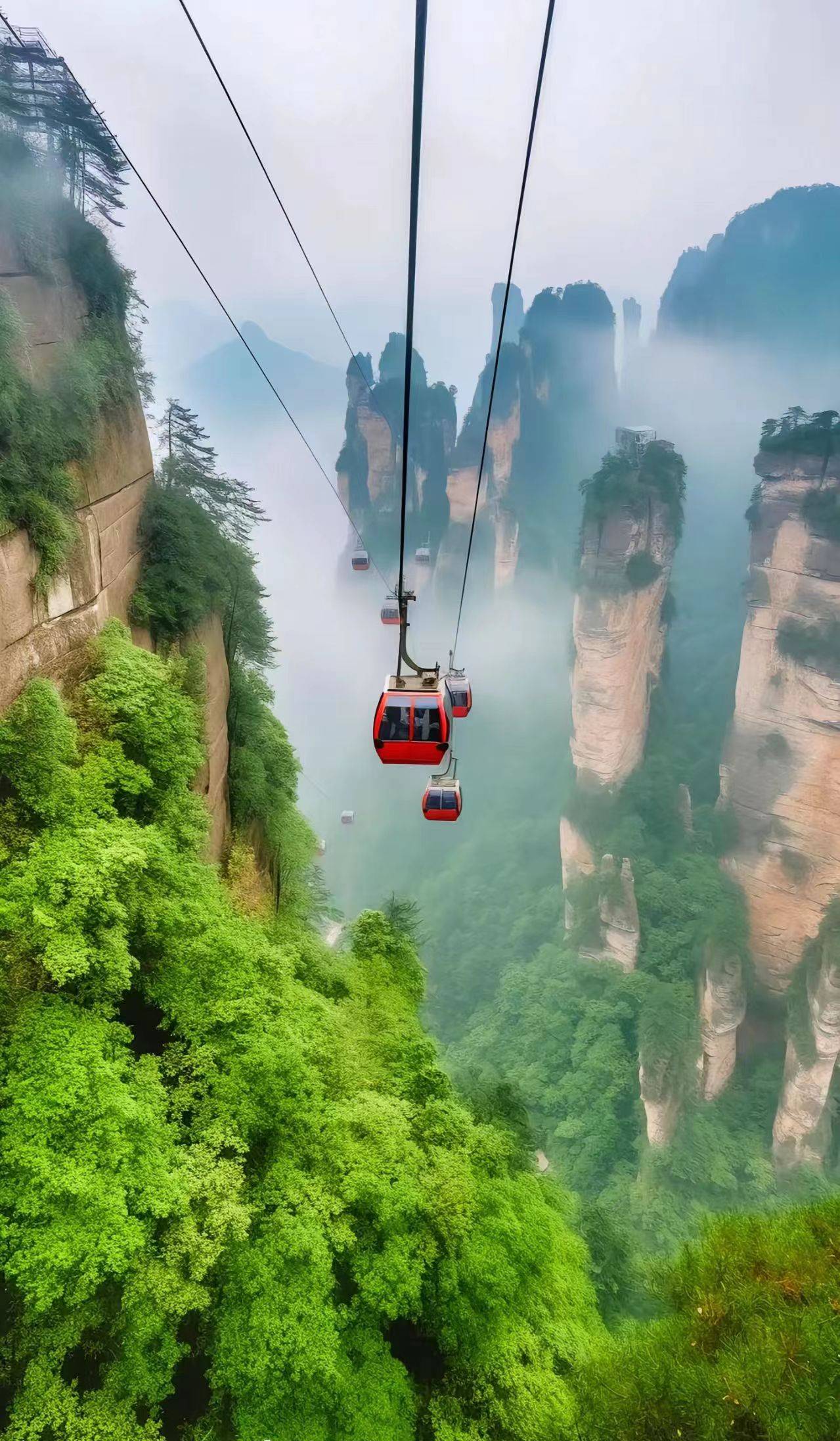 张家界旅游老人能去吗_张家界旅游老人能去吗现在