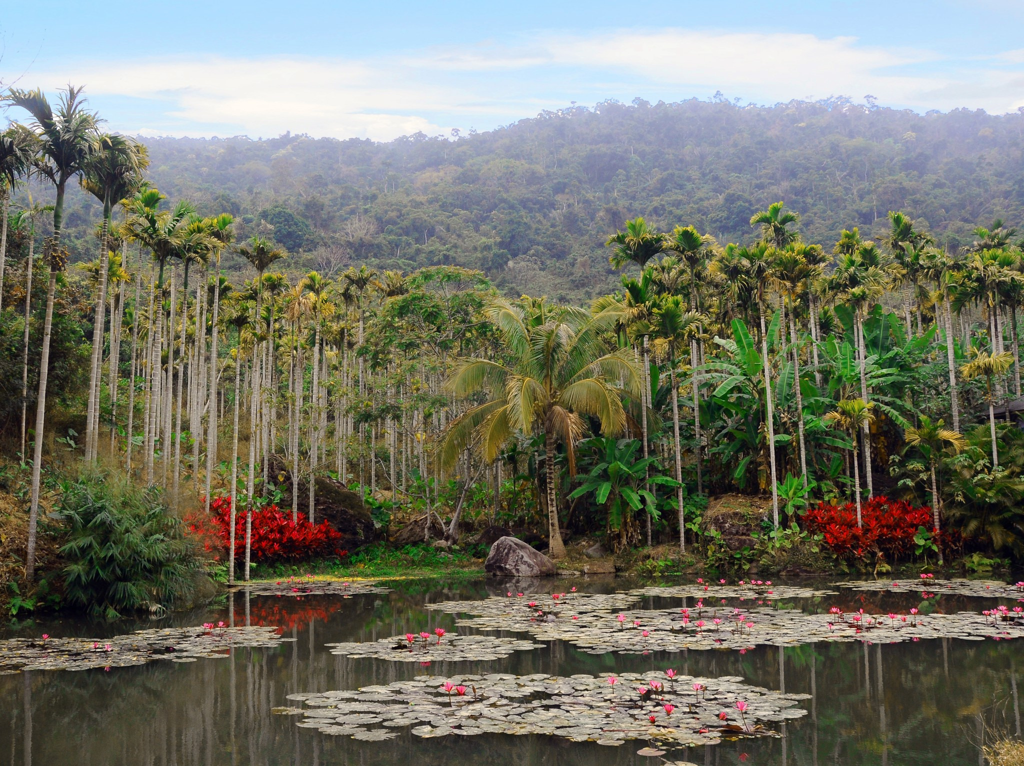 呀诺达雨林文化旅游区_三亚呀诺达雨林文化旅游区