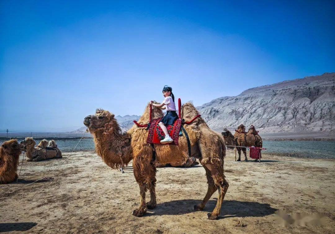 龙途旅游_龙途旅游公司