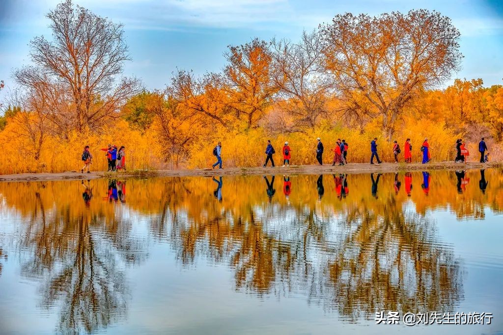 胡杨林旅游攻略_胡杨林旅游攻略最佳路线