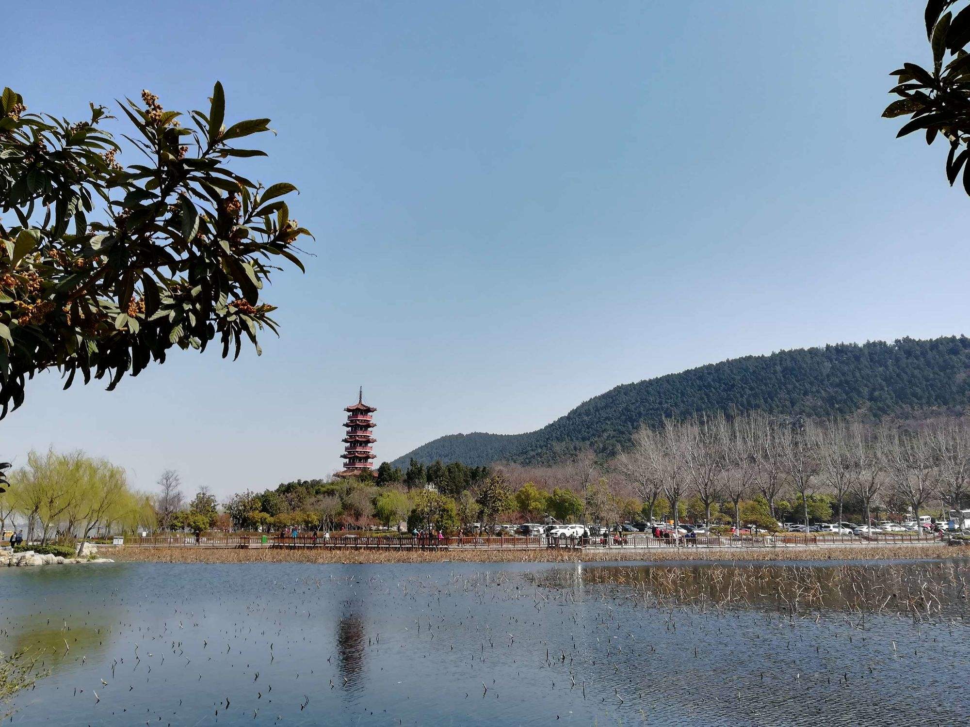 徐州旅游团_徐州旅游团报名三日游价格
