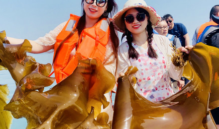 大连旅游团_大连到日本旅游团