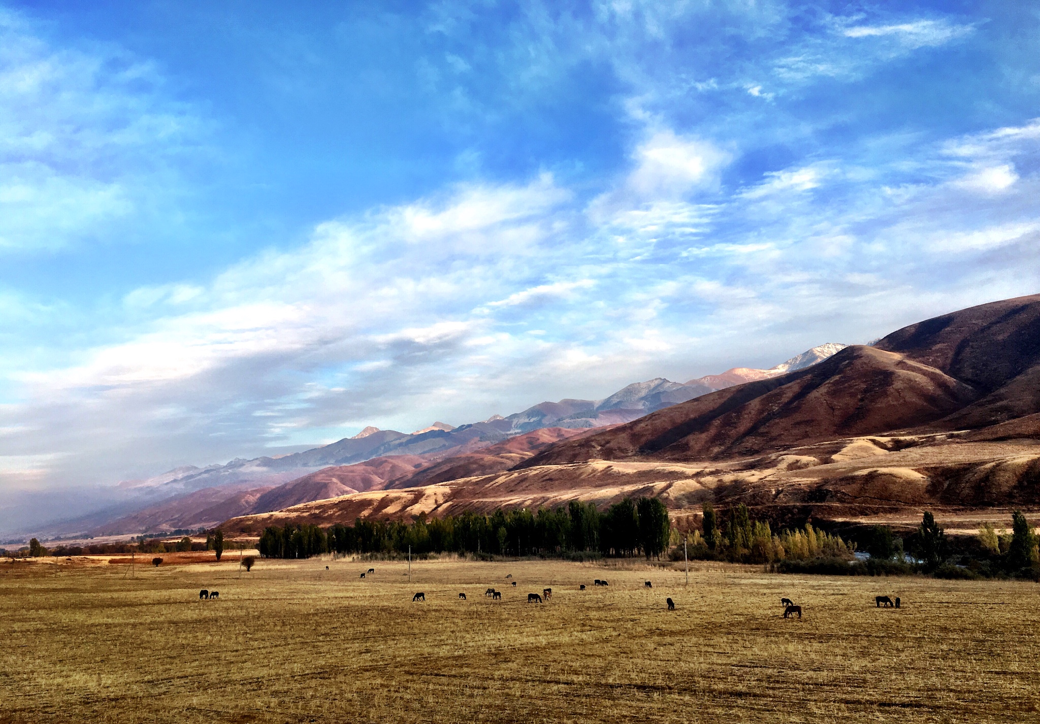 吉尔吉斯斯坦旅游_吉尔吉斯斯坦旅游景点推荐 吉尔吉斯斯坦旅游_吉尔吉斯斯坦旅游景点推荐