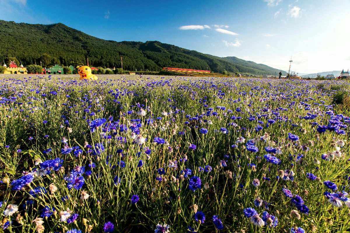 朗乡旅游_朗乡旅游景点门票