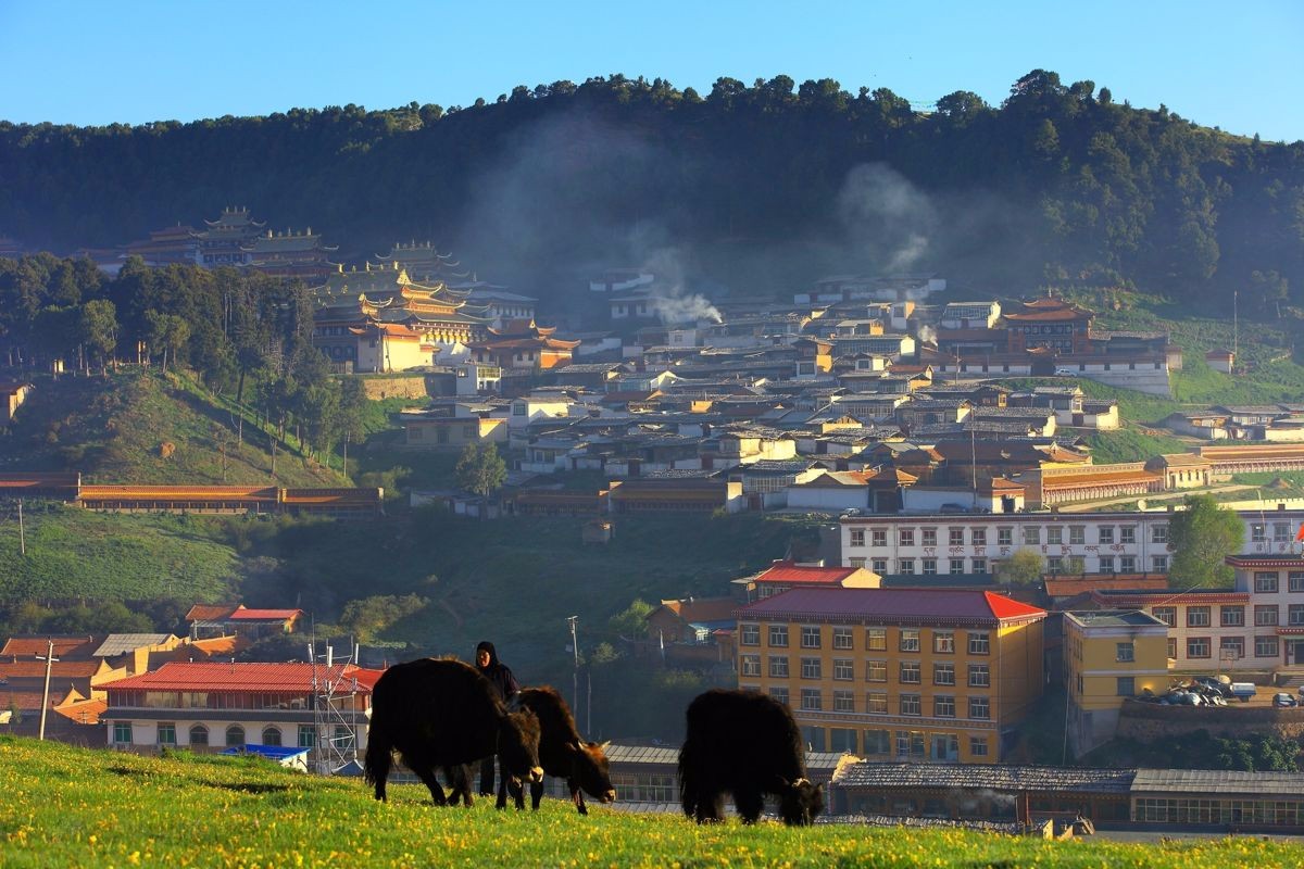 甘南旅游景点大全_甘南旅游景点大全集