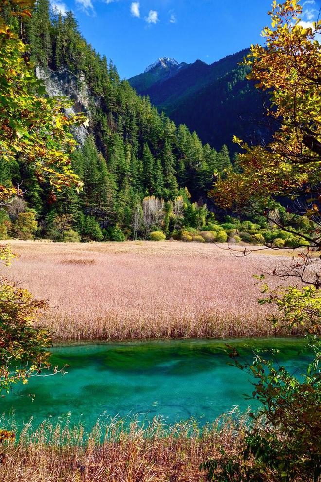 九寨沟旅游介绍_九寨沟旅游介绍啊