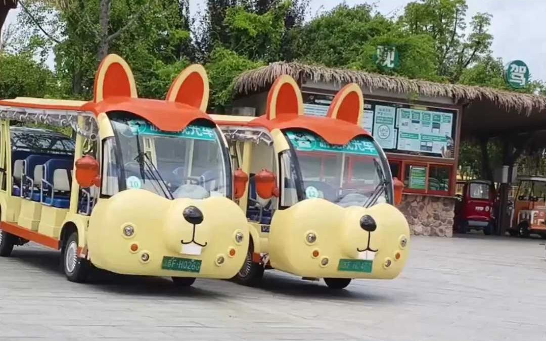 电动旅游观光车_电动旅游观光车需要什么驾照才能开