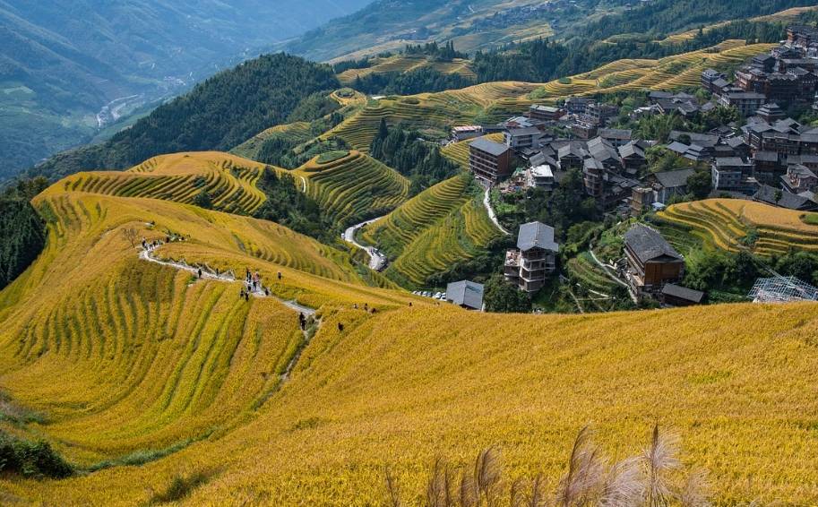 桂林旅游网_桂林旅游网上找导游可靠吗